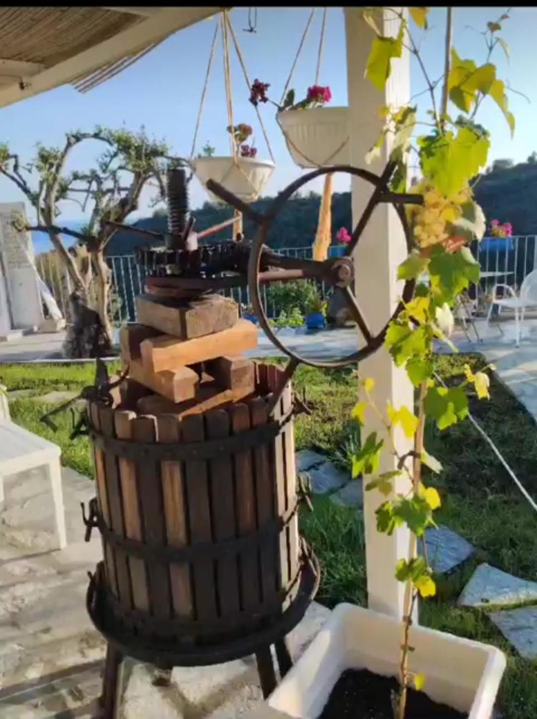 Message In A Bottle Bed And Breakfast Camporosso  Εξωτερικό φωτογραφία