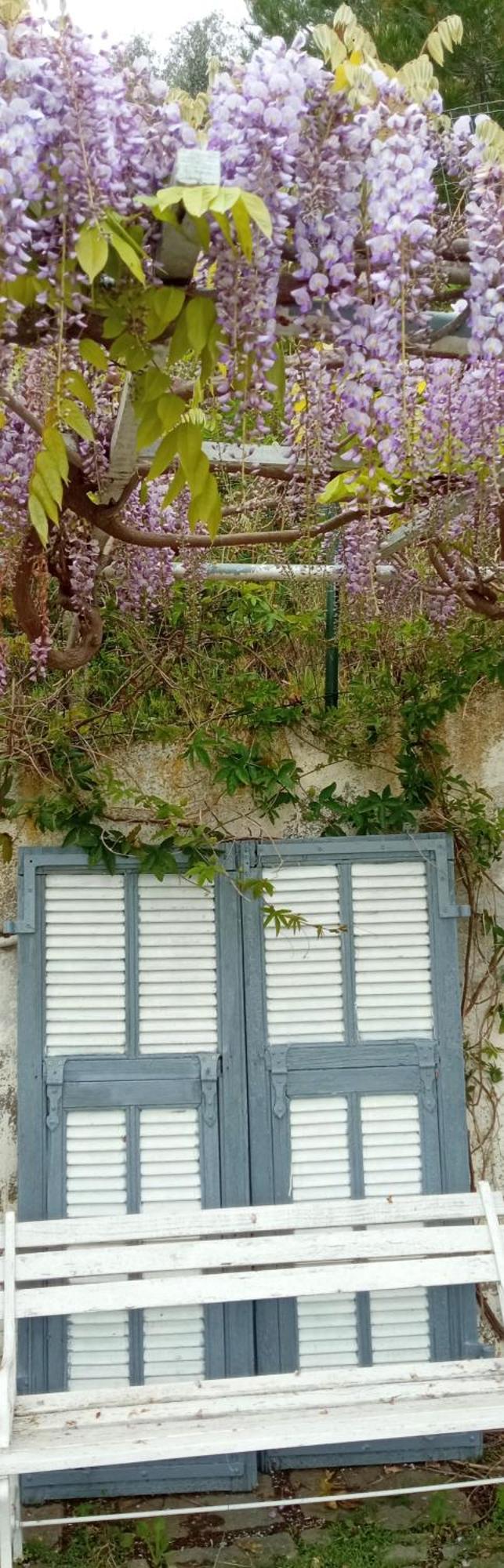 Message In A Bottle Bed And Breakfast Camporosso  Εξωτερικό φωτογραφία